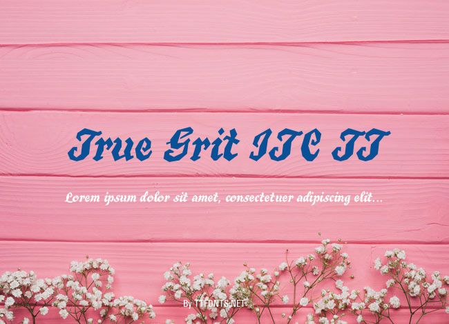True Grit ITC TT example